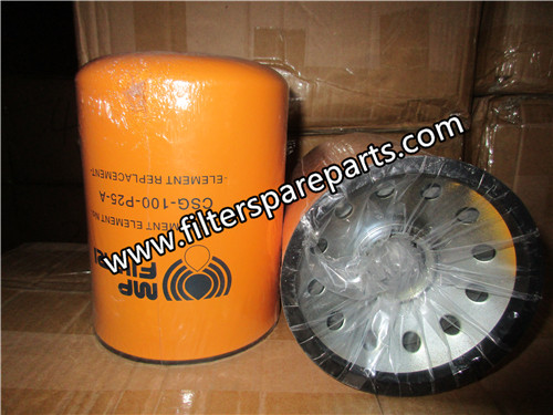 CSG-100-P25-A Hydraulic Filter